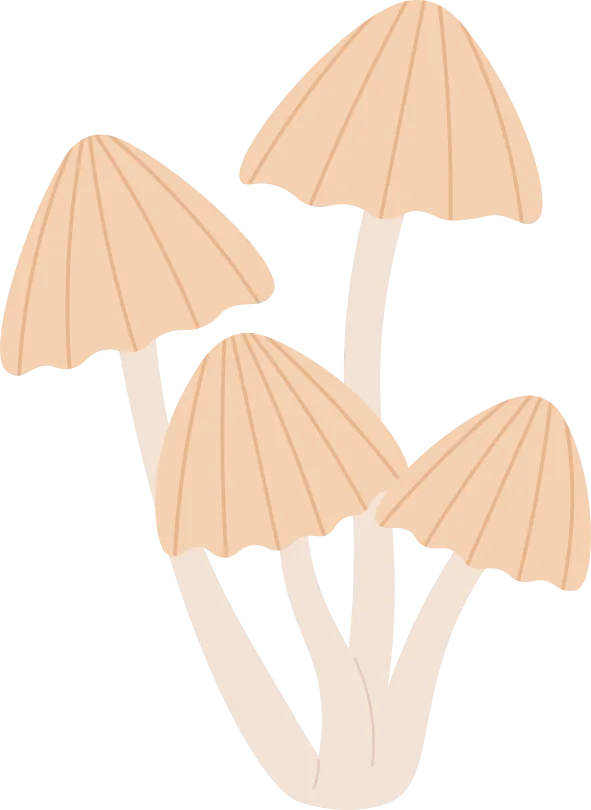 Jan Borovička: Psychotropní houby kdysi a dnes